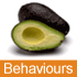Lifestyle Behaviours